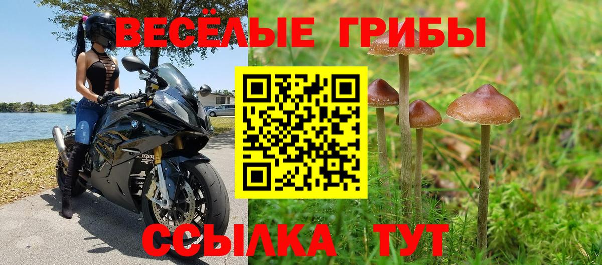 Галлюциногенные грибы прущие грибы Раменское