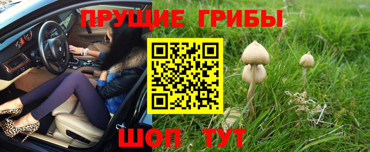 Галлюциногенные грибы Cubensis  хочу наркоту  Раменское  Вход с VPN 
